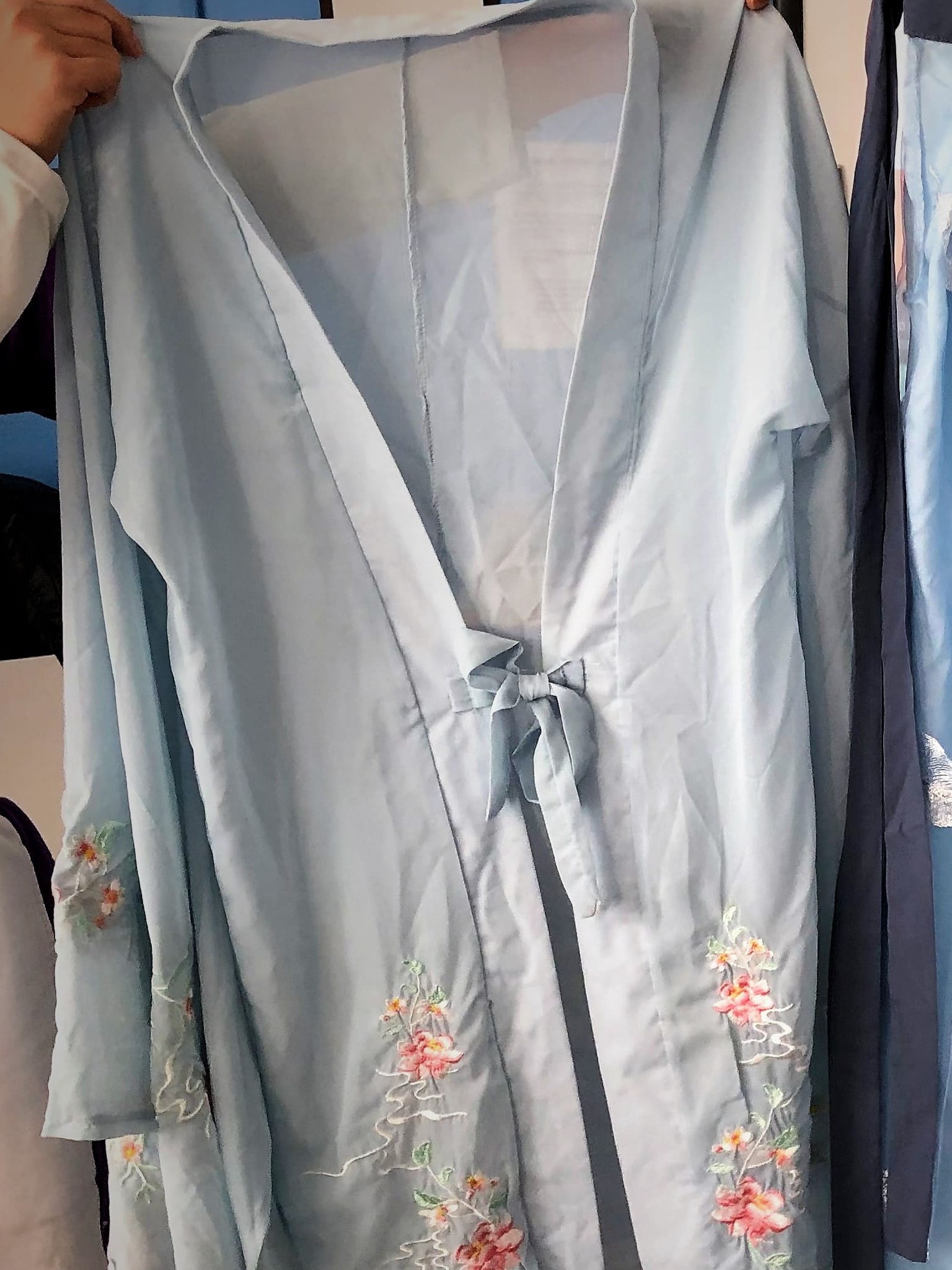 AnyConv.com__Hanfu (1)
